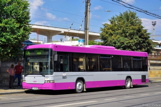 autobuze